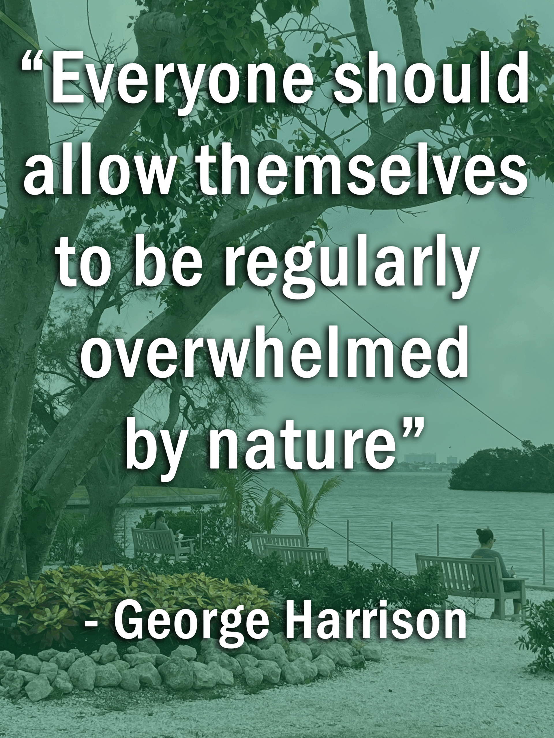 QuotePic-scaled
